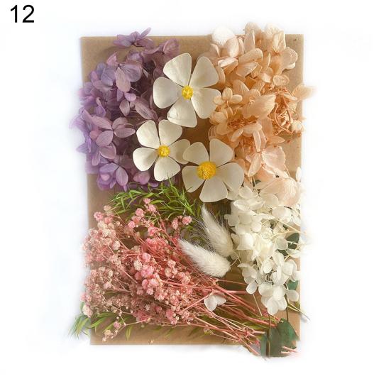 Nützliche Trockenblumendekoration, auffällige, leicht zu pflegende helle Farbe