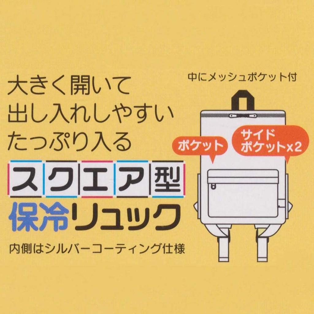 Skater Paw Patrol Square Backpack for Kids, 25cm Wide x 16cm Deep x 30cm High (RYUSQ1)