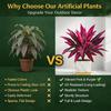 Large Realistic Artificial Boston Fern & Dragon's Blood Tree Artificial Turf UV Resistant Red Cordyline Ti Plants Red/Pink Vibrant Purple Leaves