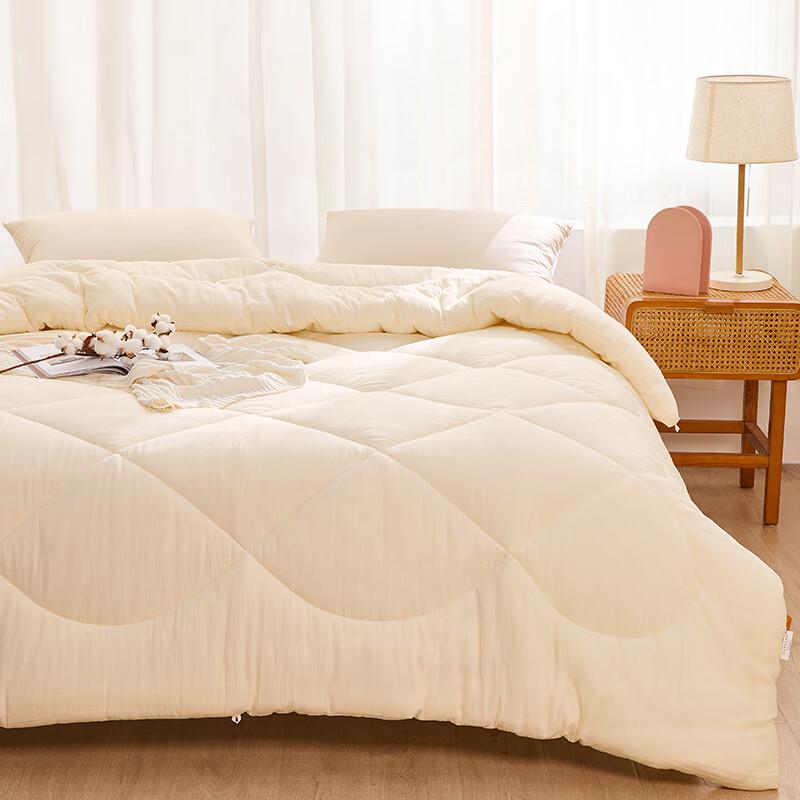 Beyond Home Textile Antibacterial Soy Fiber Quilt