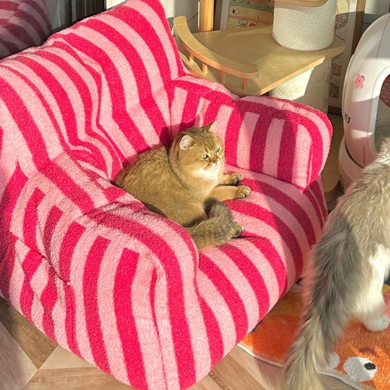 Abnehmbares waschbares Haustiersofa: Ganzjahres-Hunde- und Katzenbettkissen