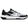 Nike Varsity Compete Tr 3 Cool Grey CJ0813-003
