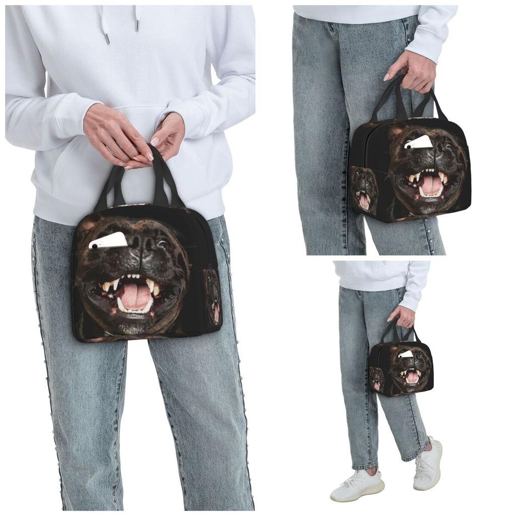 Staffordshire Bull Terrier Insulated Lunch Bag for Kids School Cooler Thermal Food Box Tote Leakproof Lunch Boxes Container