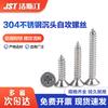304 Stainless Steel Cross Countersunk Head Tapping Screws