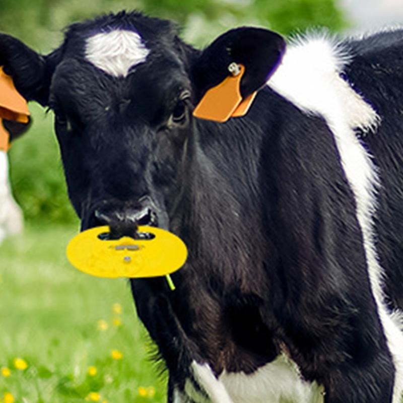 Adjustable Calf Nose Rings Set Of 10 Secure Comfortable Design For Smooth Weaning Process In Calves And Cattle Farm Use