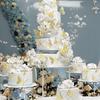 60 Pcs Paper Butterfly Wall Decor For Mother's Day Valentine's Day Wedding Party Decoration