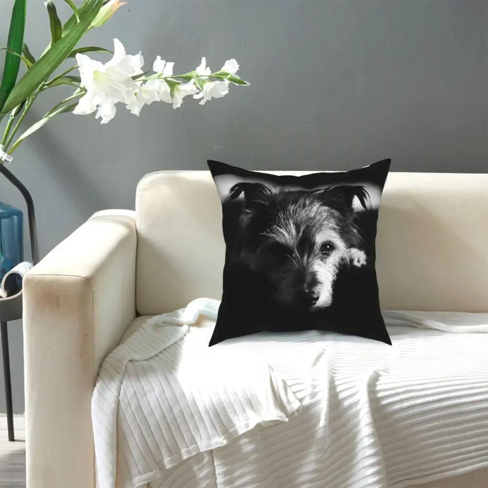 Skotský teriér Pes Čtvercový povlak na polštář Polyesterové polštáře na pohovku Scottie Povlaky na polštáře