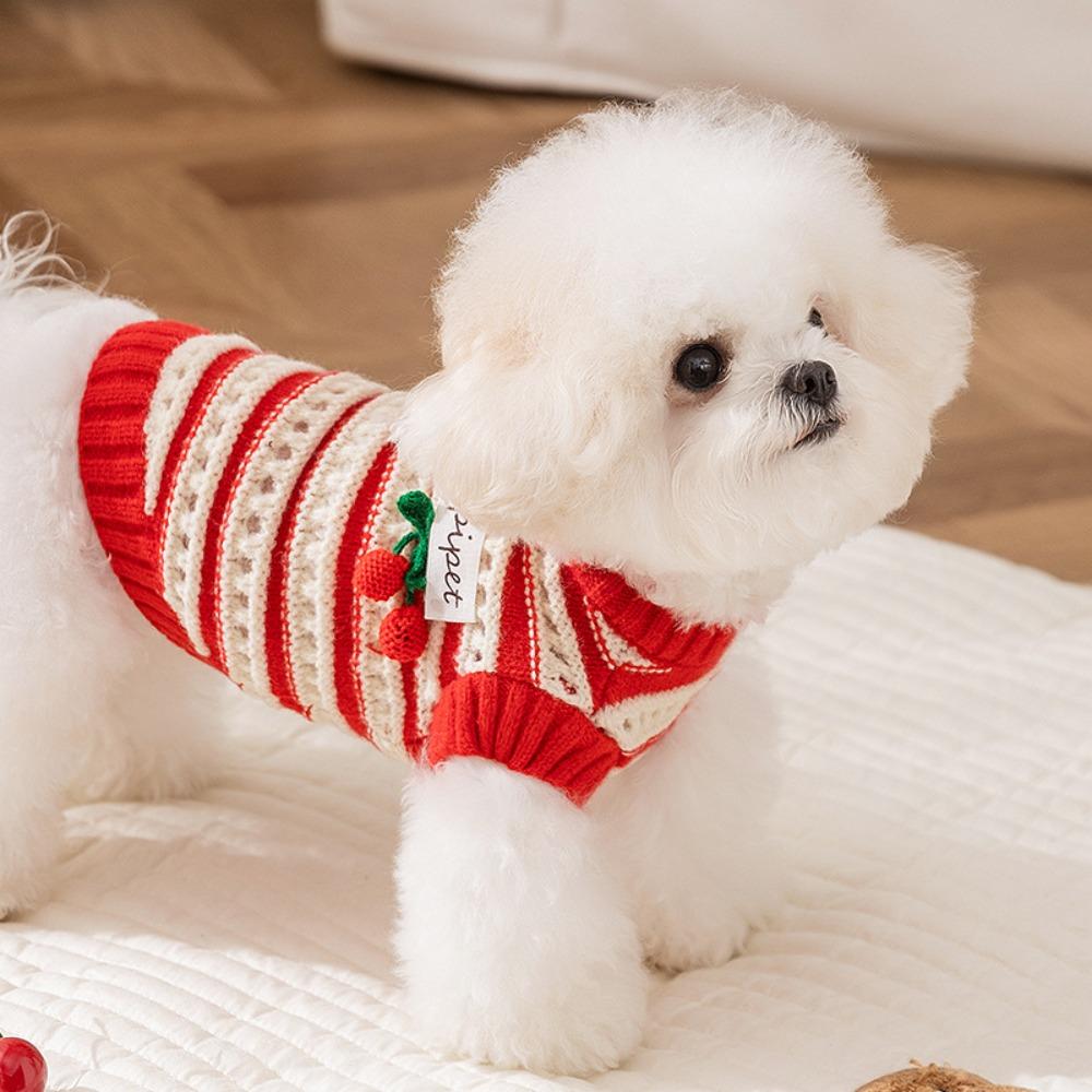 New Autumn and Winter Dog Clothes Hollow Knitted Three-dimensional Cherry Pet Sweater Winter Thickened Warm Dog Clothes