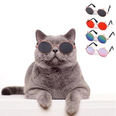 Katter – Kattkläder