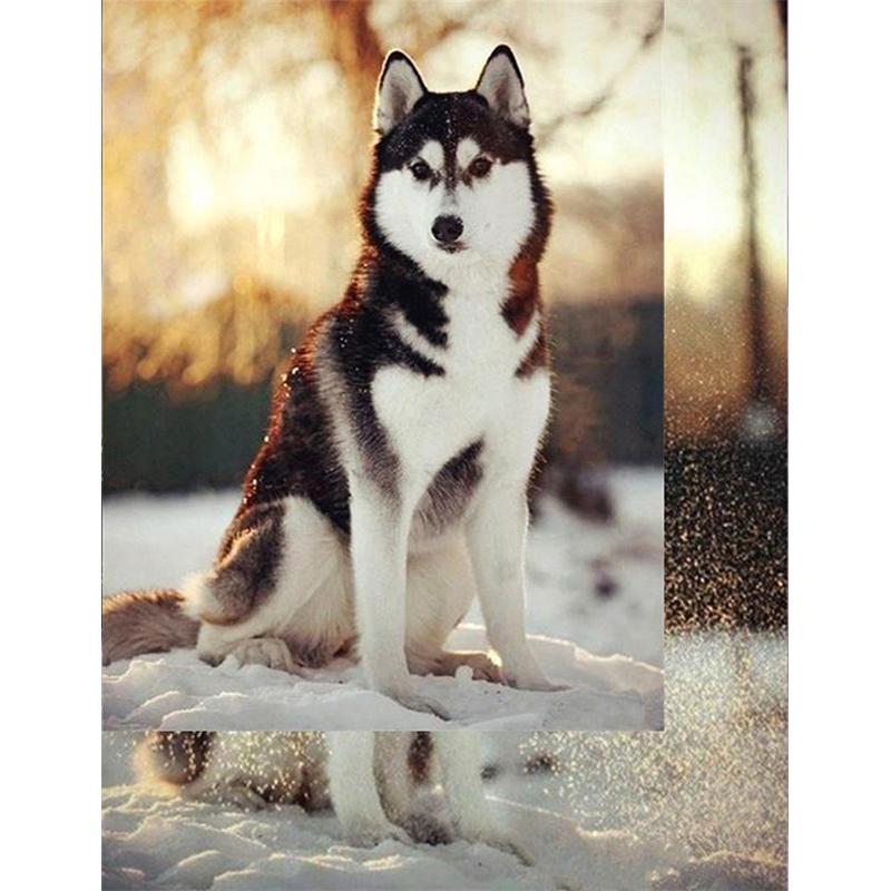 5D DIY Diamond Painting Cute Puppy Diamond Mosaic Diamond Embroidery Full Set Cross Stitch Kits Home Decor Gifts