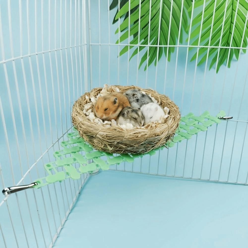 Zufällige Farben Eichhörnchen Hamster Kletterspielzeug Vogelkäfig Zubehör Kleintier Unterhaltung