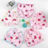 5 pz/lotto Mutandine Intimo Bambina Mutandine Slip Pantaloni Bambino Intimo Bambino Mutandine 1-18M