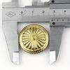 Brass Screwback Conchos Rivets Flower Star Decorative Buttons for Leather Craft Wallet Bag Saddle Belt Decor