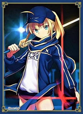 Tougenkyo FateGrand Order Fate Sleeve 01  "Mysterious Heroine X  Illustration: Umi"  [SunCriSC2016 Winter]