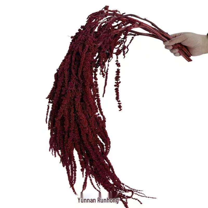 Hanging Rice Dried Preserved Flowers Wedding Decor 'Lover's Tears'