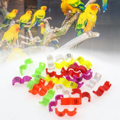 10 Piezas Anillas para Patas de Pájaro Paloma Codorniz Anillas para Patas de Loro Pequeño Con Número Diámetro Interior 2,7 mm 3 mm 4 mm 4,5 mm 5 mm Suministros para Pájaros