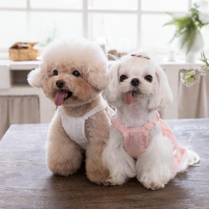 Pet Spring Princess Skirt Lace Strap Skirt Teddy Tank Top Dog Clothes for Small Dogs Puppy Clothes
