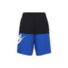 Nike Casual Shorts Men's Royal Blue Moderate CJ4353-010