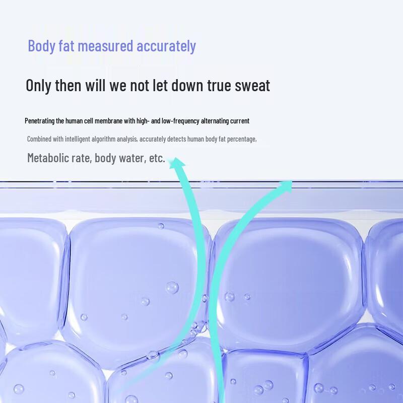 Bear Smart Body Fat Scale (CN version)