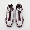 FZ2068-002 Nike Women's Air Max SNDR Photon Dust and Night Maroon (Women's)