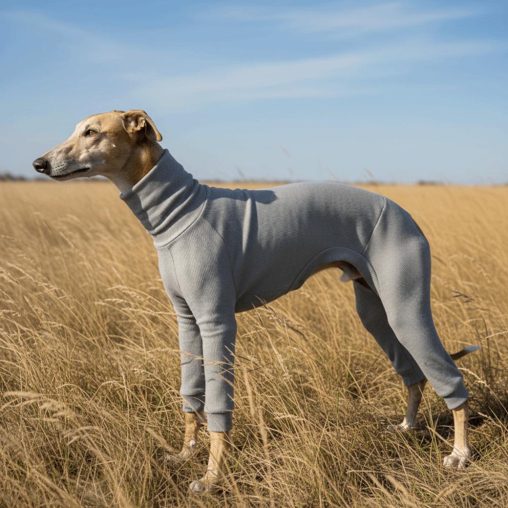 Casual Style Warm Dog Jumpsuit Soft Cold-Proof Dog Four Legged Clothes Elastic Comfortable Pet Turtleneck Clothes Indoor Wear