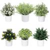 Simulated Bonsai Green Plants Succulent Plant Potted Artificial Flower Ornament Office Desktop Decoration Home Room Decoration