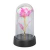 Rosa Colorata Luminosa in Cupola di Vetro Regali di Compleanno Illuminazione d'Ambiente Fiore Artificiale Luminoso Rosa per Anniversario Natale