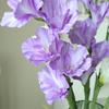 Real Touch Simulation Gladiolus Flower Floral Art Fake Flowers  Holiday Party Decor