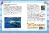 Deep Sea Survival (Science Manga Survival Series 30)
