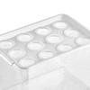 Home Hydroponics Growing Box for Microgreens Development