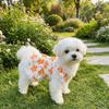 Breathable Floral Dog Skirt Lace-Trimmed Dog Princess Dress Floral Suspender Dress  Pet Party