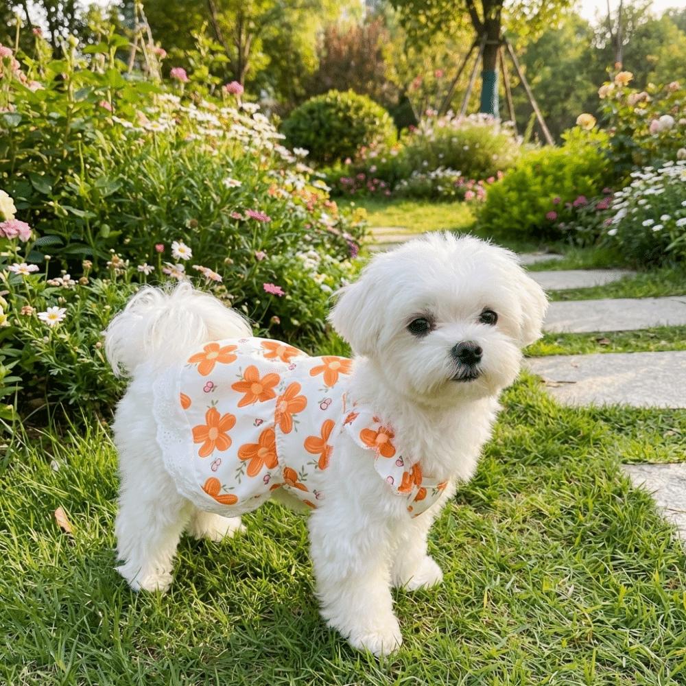 Breathable Floral Dog Skirt Lace-Trimmed Dog Princess Dress Floral Suspender Dress Pet Party
