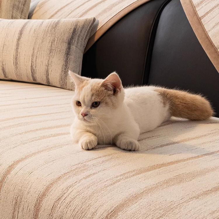 Sofa Cushion Universal In All Seasons, New High-end Non-slip Seat Cushion, Simple and Light Luxury Sofa Cover Cover Cloth Towel