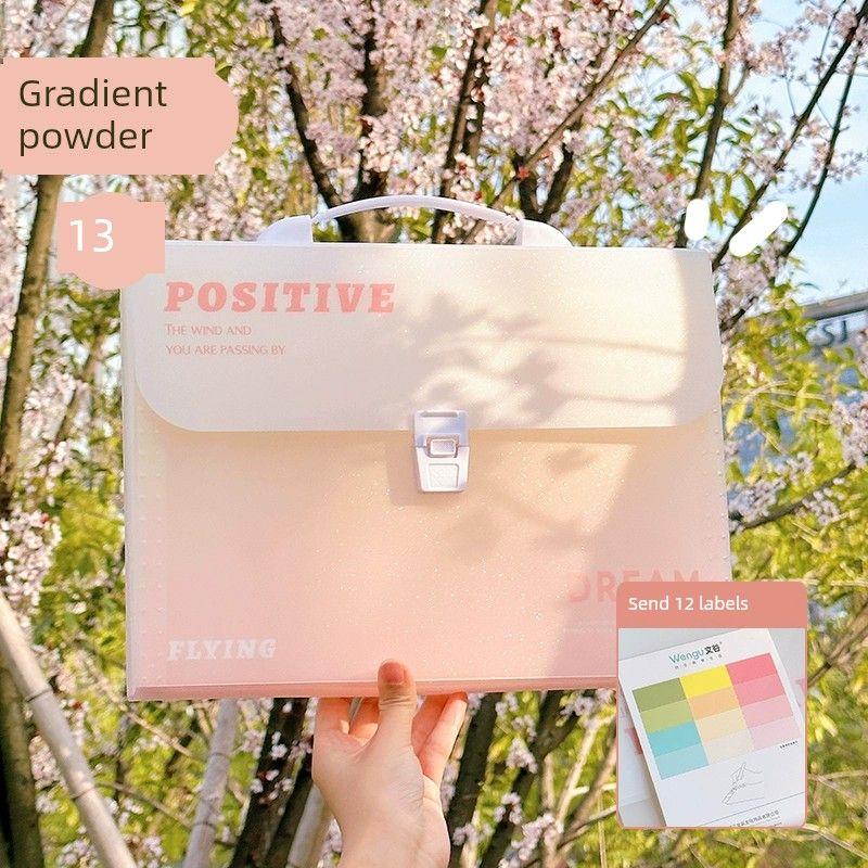 

Wengu Gradient Color Fresh Hanging Junior High School File Holder 1 Pink