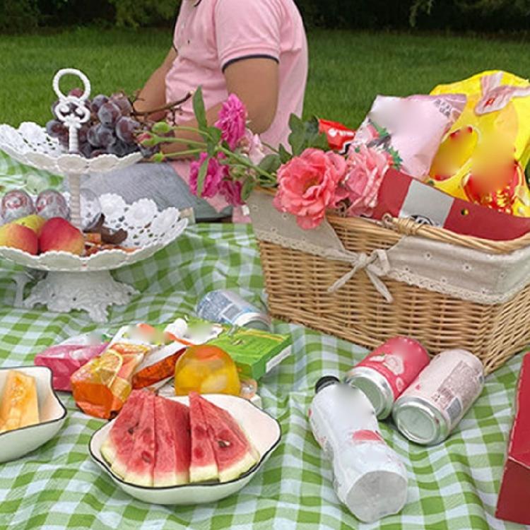 Picnic Blanket Handy Mat Beach Rug Mat for Park Picnics Travel Outdoor Concerts