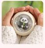 Cartoon Mini Hand Warmer: Cute, Portable, Rechargeable Electric Warmer for Babies and Pets.