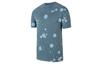 Nike T Shirts Men's Ozone Blue Crew Neck Moderate Straight Fit CW0381-031