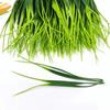24Pcs Weather-Resistant Artificial Spring Grass Green Artificial Grass Bundles  Tabletop Greenery