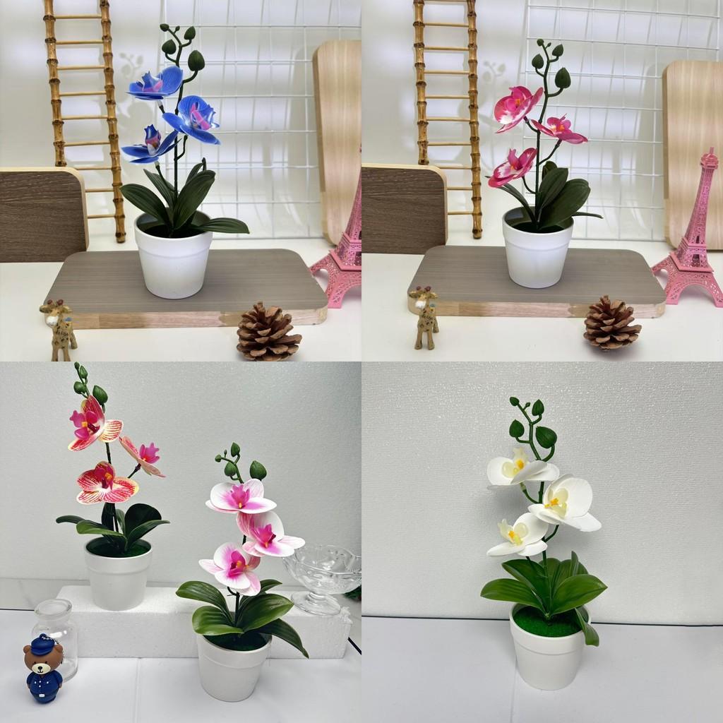 Schmetterlingsorchidee 3D Kunstpflanze mit Indoor-Dekor für Fotografie und Heimstyling