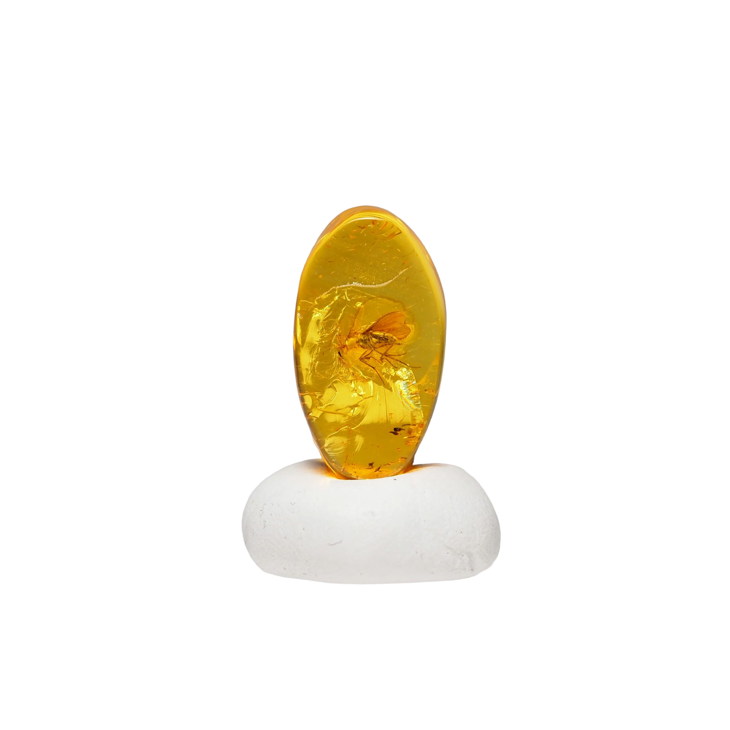 stone Natural Fossil Amber with Insect Specimen of a 14x8x4mm [N2 Natural] - (33  One kind  [Amber approx. 0.4g, Insect approx. 4mm])