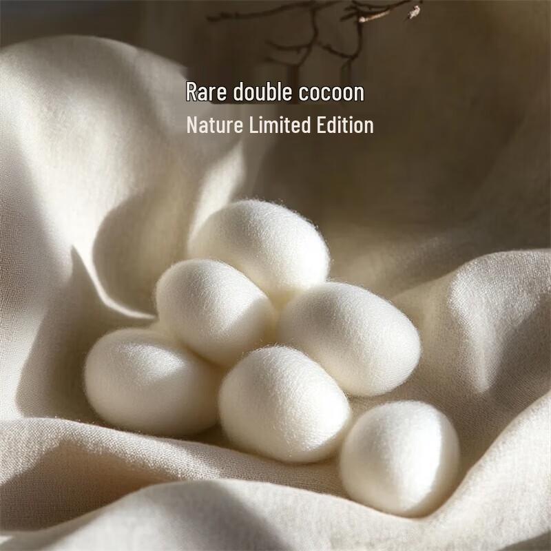 

Mercury Home Tussah Silk Duvet Quilt