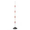 INVUI Multi-Sport Training Agility Poles