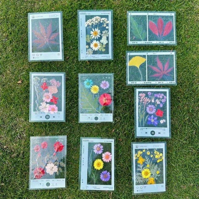 20Pcs Diy Transparent Specimen Bookmarks Plastic Frame For Pressed Leaves Flowers Pressed Flowers Herbarium Journal Scrapbooking