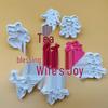5cm Fushou Xilu Facai Plastic Mold for Simulated Engraving