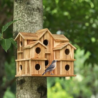 Pájaros – Jaulas y accesorios