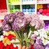 Knitted Carnation Hand-made Flower with Wool Hand Crocheting Artificial Packing Bag Home Decor