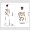 Skeletons For Halloween 2ft Halloween Outdoor Skeletons Human Bone Decorations Skull Props Foldable For Halloween Birthday