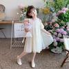 Girls' 2024 Summer Chiffon Princess Sling Dress – Fashionable and Trendy
