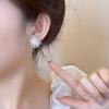 Silver Fireworks Stud Earrings - Elegant, Luxurious, and Beautiful for Women, 2025 New Hot Style