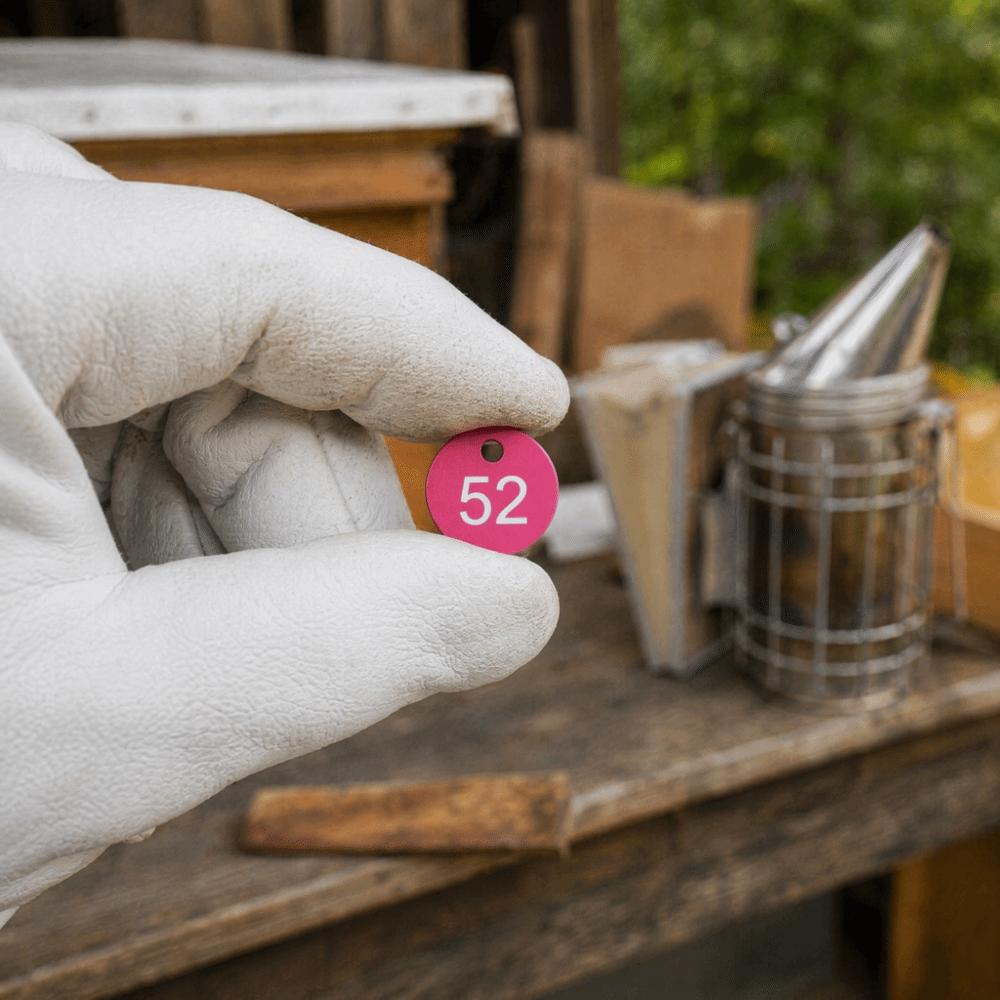 50Pcs Bright Colorful Round Number Labels ABS Number Labels Plastic Number Labels Beekeeping